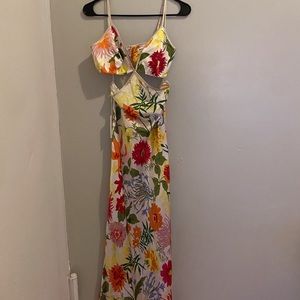 NWT Reformation Poppies Silk Dress - Fabrizio